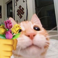 แอดเอง