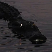 ธารา(ร่างจระเข้)