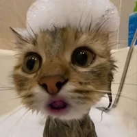 แอดสุดสวย