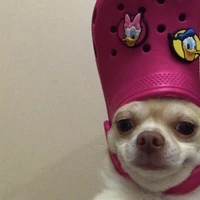 เเอดมินเองจ้า