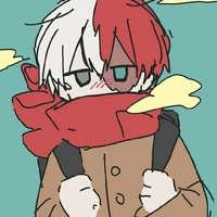 todoroki🍥