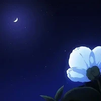 ᴛᴏᴅᴏs