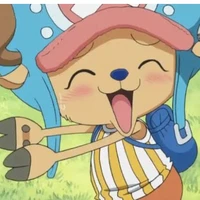 🦌chopper🦌
