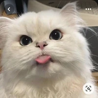 แอดเมย์เม่ผู้น่ารักเองค้าบบ