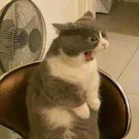 แอดเอง