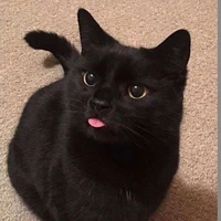 Chico
