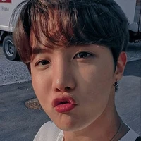 ho seok(hobi)