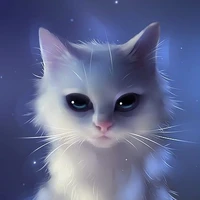 Kucing