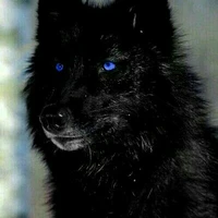 Legendary Werewolf
