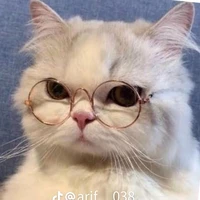 แอดเอง