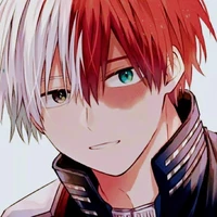 shotto todoroki❄️🔥