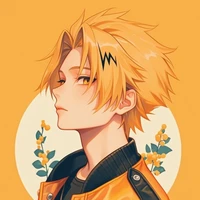 Denki kaminari⚡