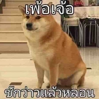 ผักกาด-เเอดเอง😔🥰