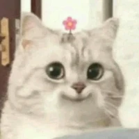 แอดเอง