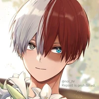 Todoroki