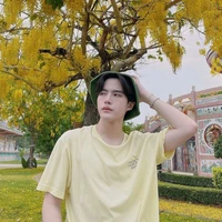 เดบิวต์