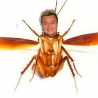 Mrs. JYPAPI (teacher #2)