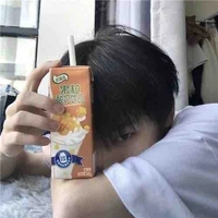 เปรม(พระเอก)