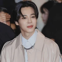 Min Jung Jimin (Special agent Spy)