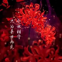 ฮิกันบานะ4ดอกผู้ตัดสิน