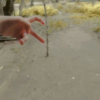 เเอด