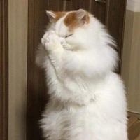 อ๊อดเเอด