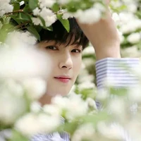 cha eun-woo