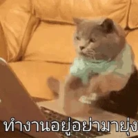 แอดเอง