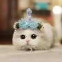 แอดเอง