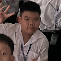 ต้นหมาก