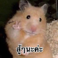 แอดอยากมีผัว!!