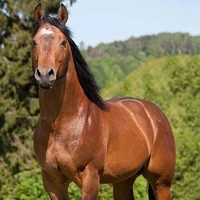 raio