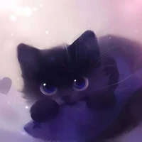 Kitty Lover 💕