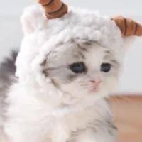 นุ้มนุ้ม