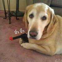 เเอดเองจร้าา