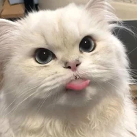 มูมู่
