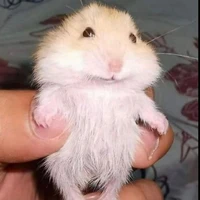 แอดมินเองงง