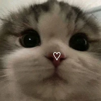 yopi