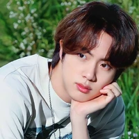 kim seokjin