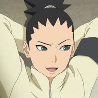 SHIKIDAI NARA
