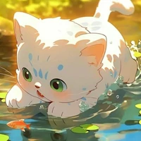 Kitten