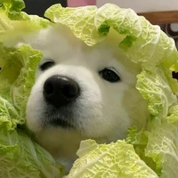 แอดเองงง