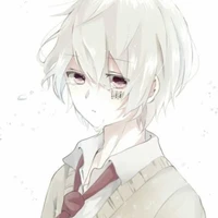 ชานิโกะ อารุเมะ (ชาติก่อน)