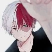 Todoroki/Shoto