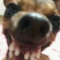 ตปก.บลาๆ