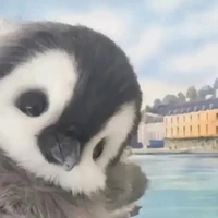 เน่า