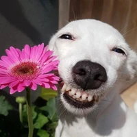 เเอดเองทุกคนนนนน