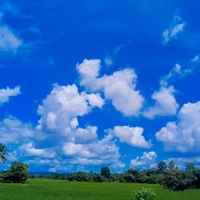 เเอดเองจะทำไม