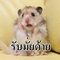 ไรท์เองงงง🍵