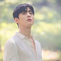 ดาวเหนือ:พระเอก